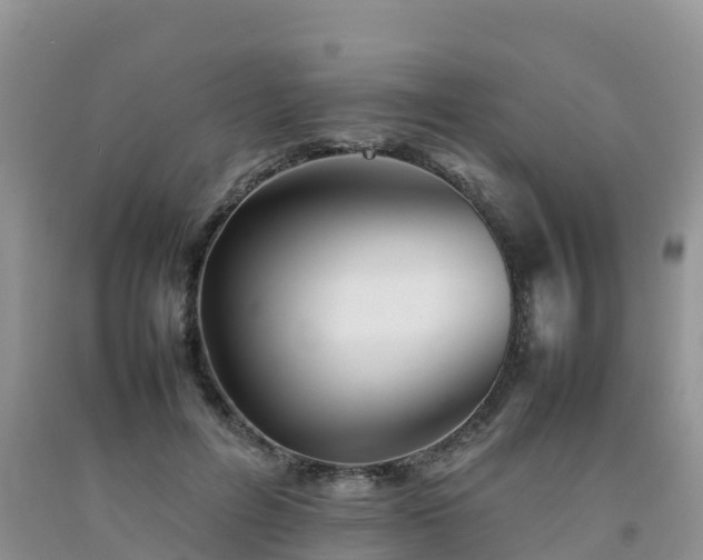 X0000092060600200709191143