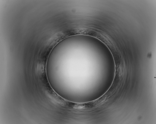 X0000092060602200709191143