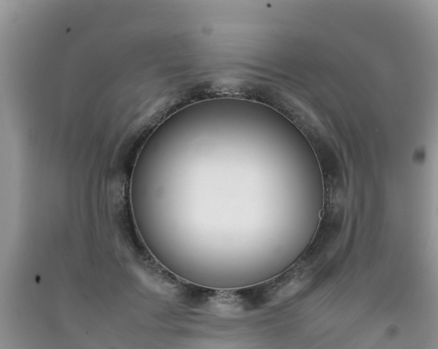 X0000092060603200709191143