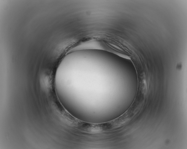 X0000092060604200709191143