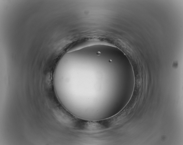 X0000092060605200709191143