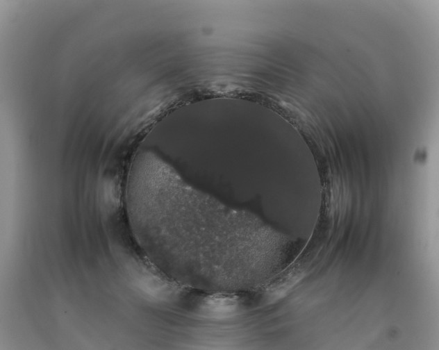 X0000092060606200709191143