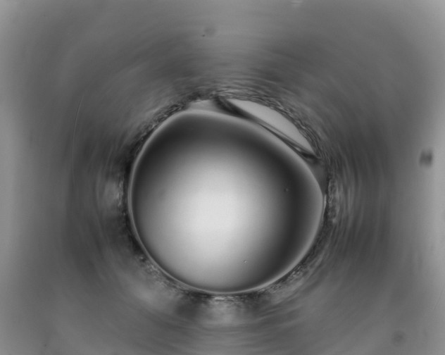 X0000092060608200709191143