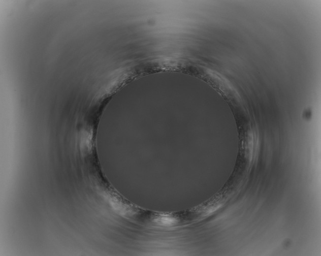 X0000092060610200709191143