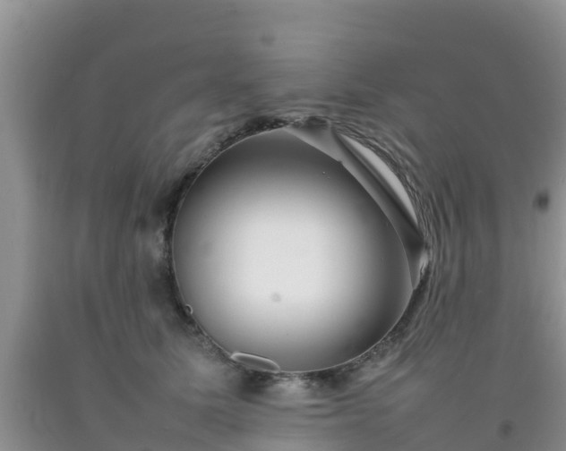 X0000092060611200709191143