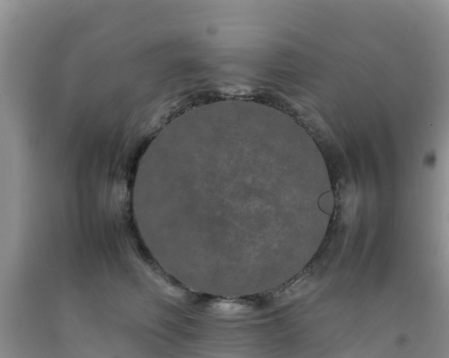 X0000092060614200709191143