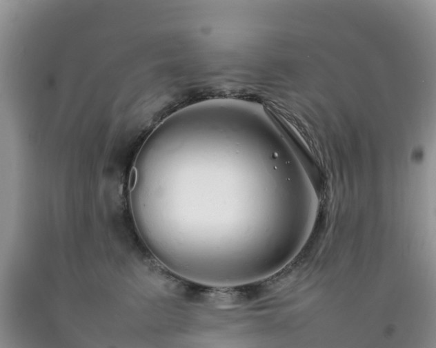 X0000092060615200709191143