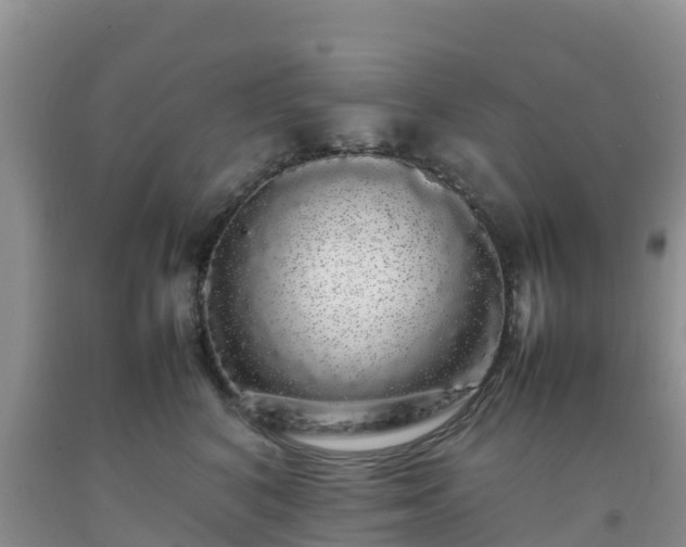 X0000092060616200709191143