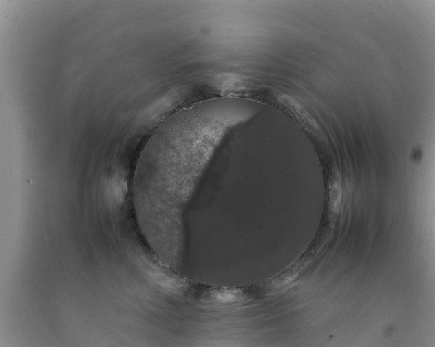 X0000092060618200709191143