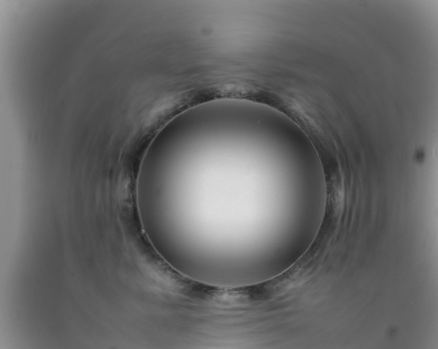 X0000092060619200709191143