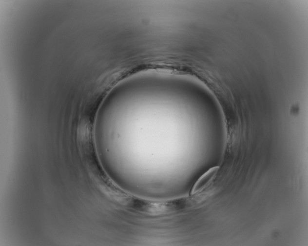 X0000092060623200709191143