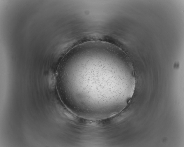 X0000092060624200709191143