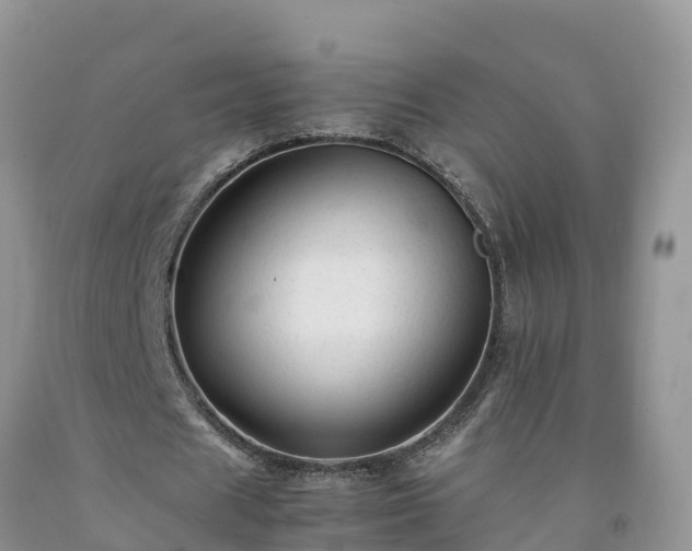 X0000092060625200709191142