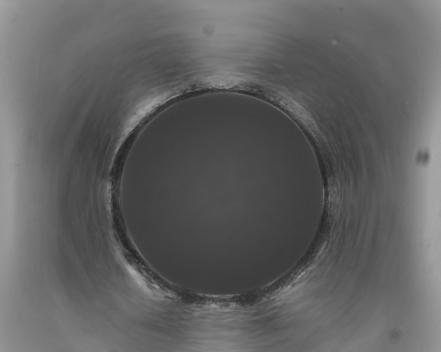 X0000092060626200709191142