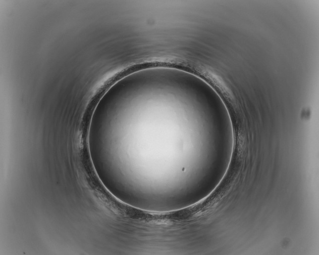 X0000092060628200709191142