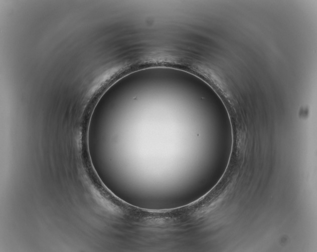 X0000092060629200709191142