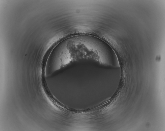 X0000092060630200709191142