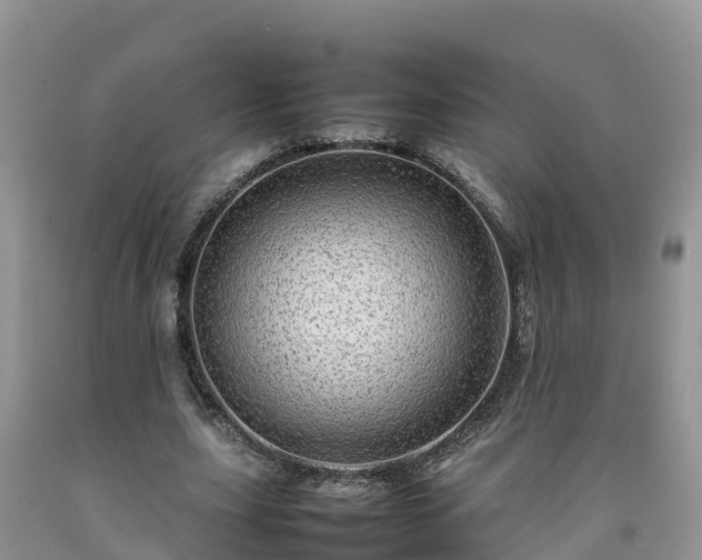 X0000092060631200709191142