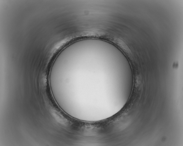 X0000092060632200709191142