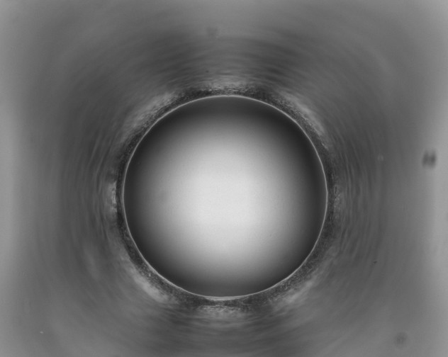 X0000092060633200709191142