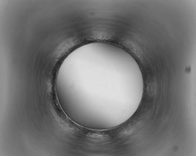 X0000092060635200709191142