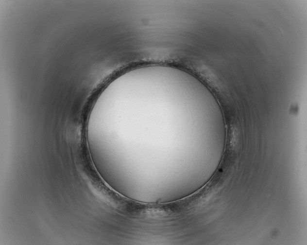 X0000092060636200709191142