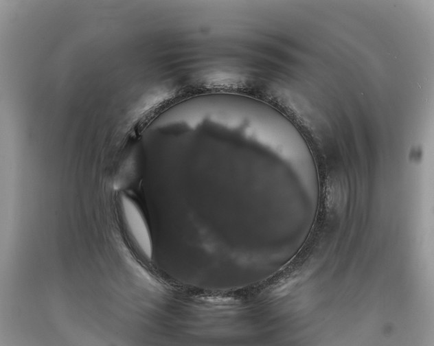 X0000092060637200709191142