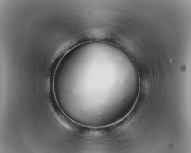 X0000092060638200709191142