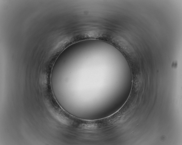 X0000092060639200709191142