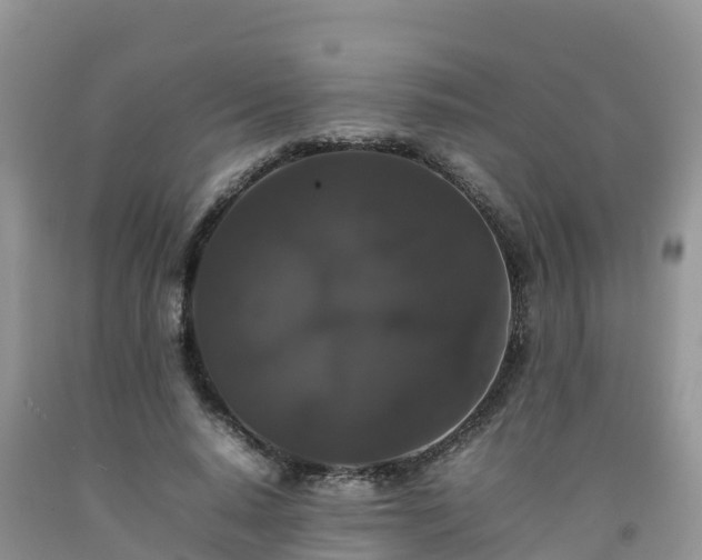 X0000092060640200709191142