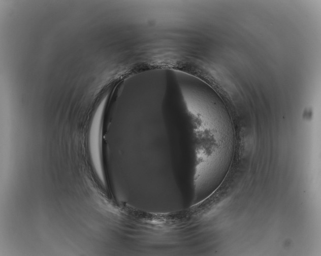 X0000092060641200709191142