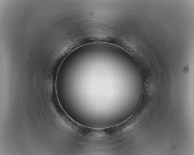 X0000092060642200709191142