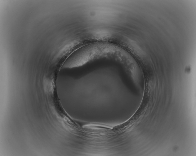 X0000092060644200709191142