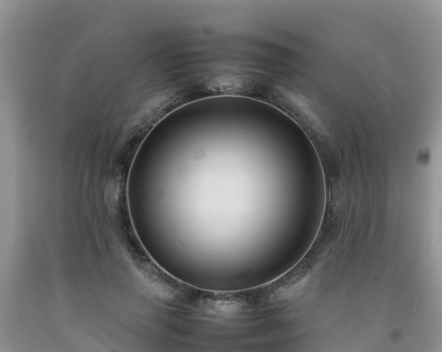 X0000092060645200709191142