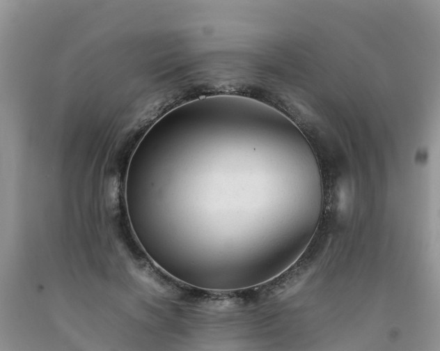 X0000092060646200709191142