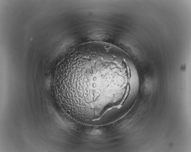 X0000092060647200709191142