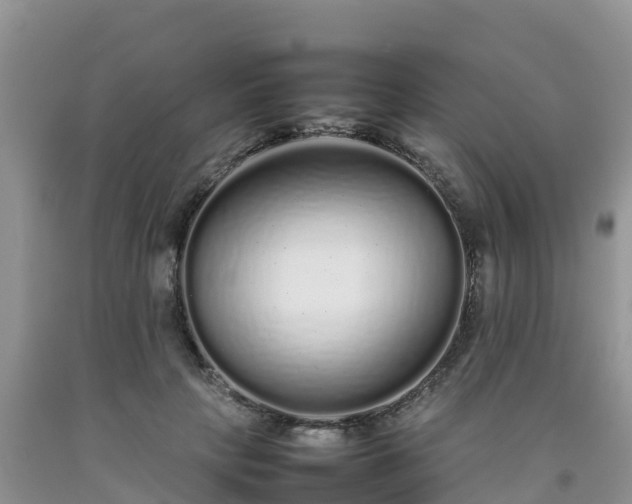 X0000092060649200709191142