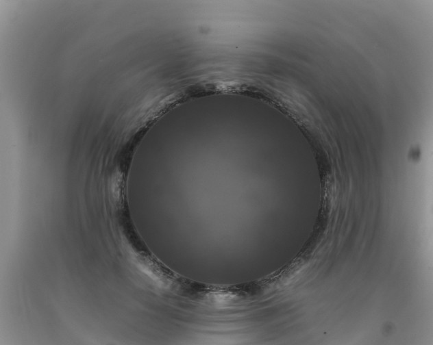 X0000092060650200709191142