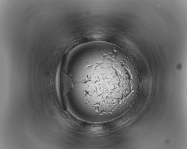 X0000092060651200709191142