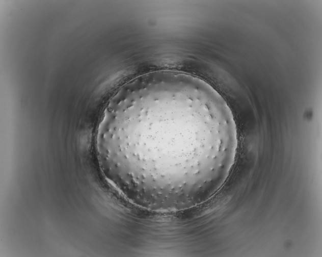 X0000092060652200709191142