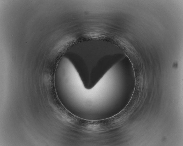 X0000092060653200709191142