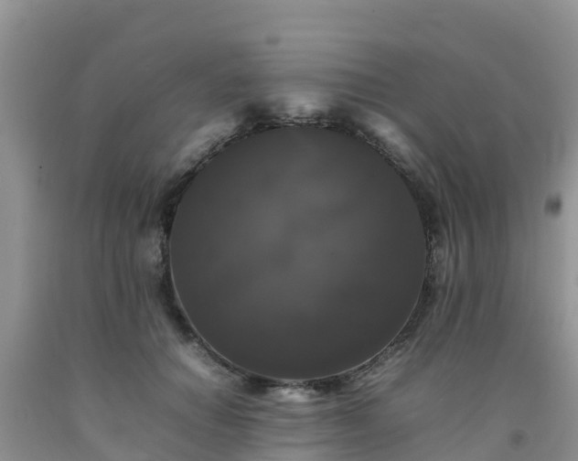 X0000092060654200709191142