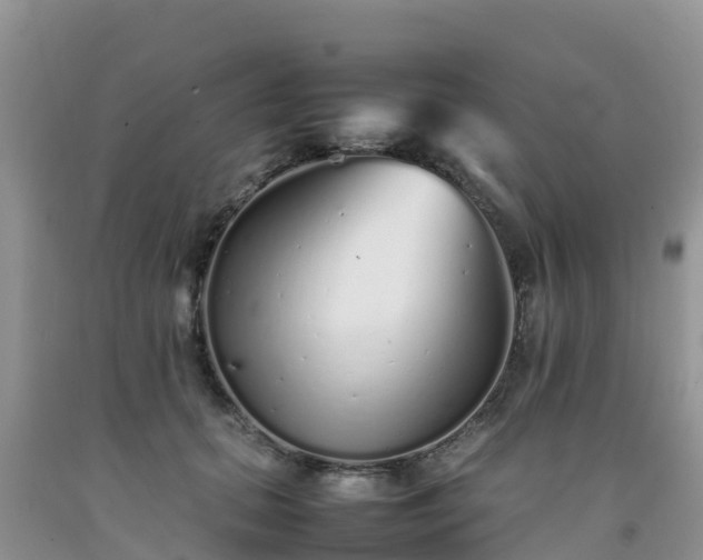 X0000092060655200709191142