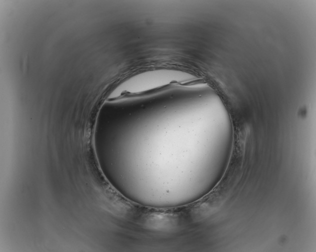 X0000092060657200709191142