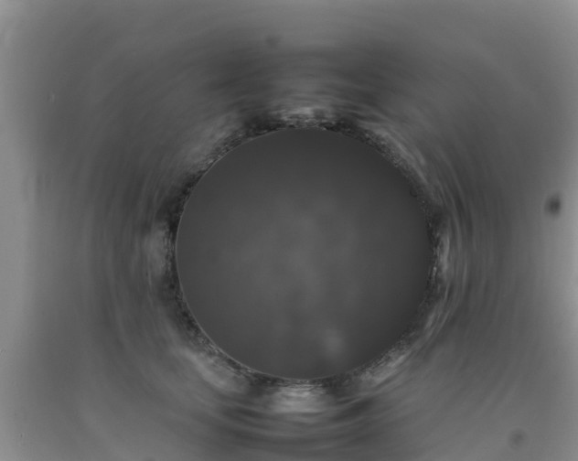 X0000092060659200709191142