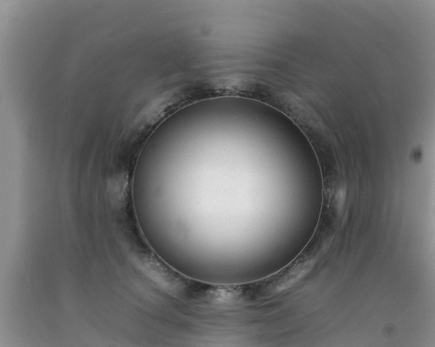 X0000092060660200709191142