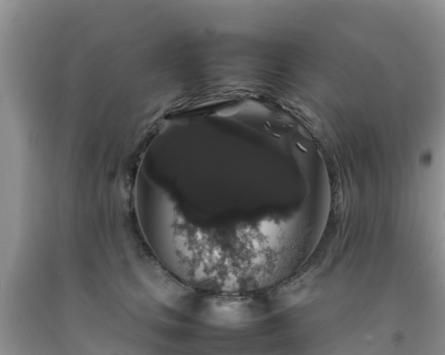 X0000092060661200709191142