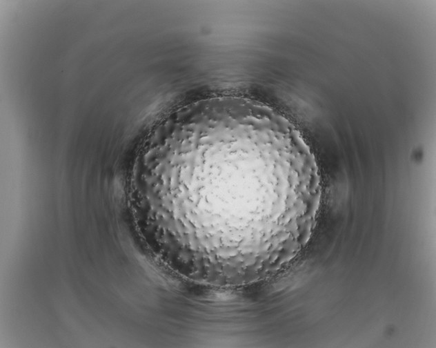 X0000092060662200709191142