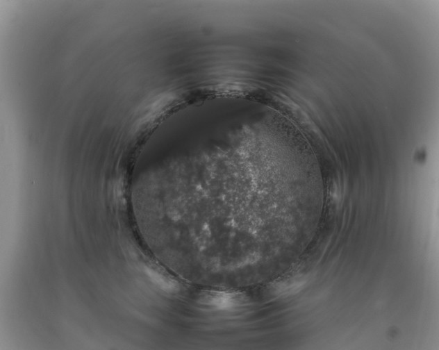 X0000092060663200709191142