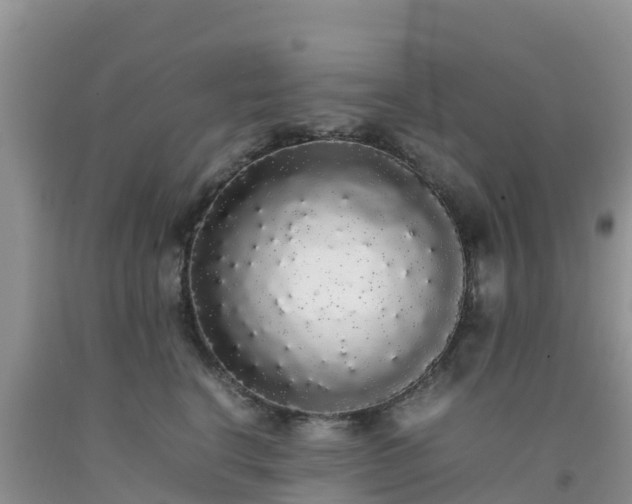 X0000092060664200709191143